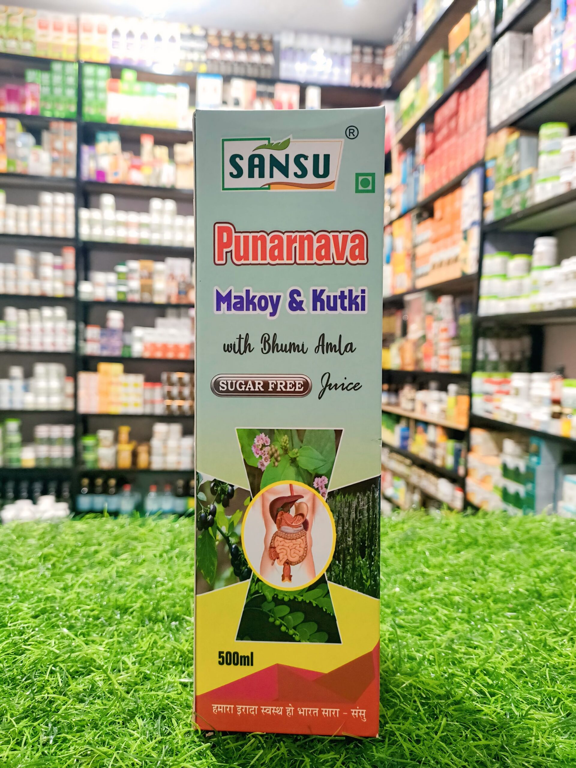 PUNARNAVA MAKOY SANSU